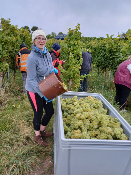 Die besondere Weinlese 2024