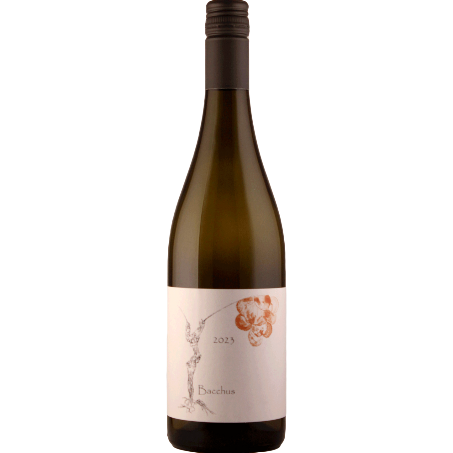 Bacchus 2023 halbtrocken