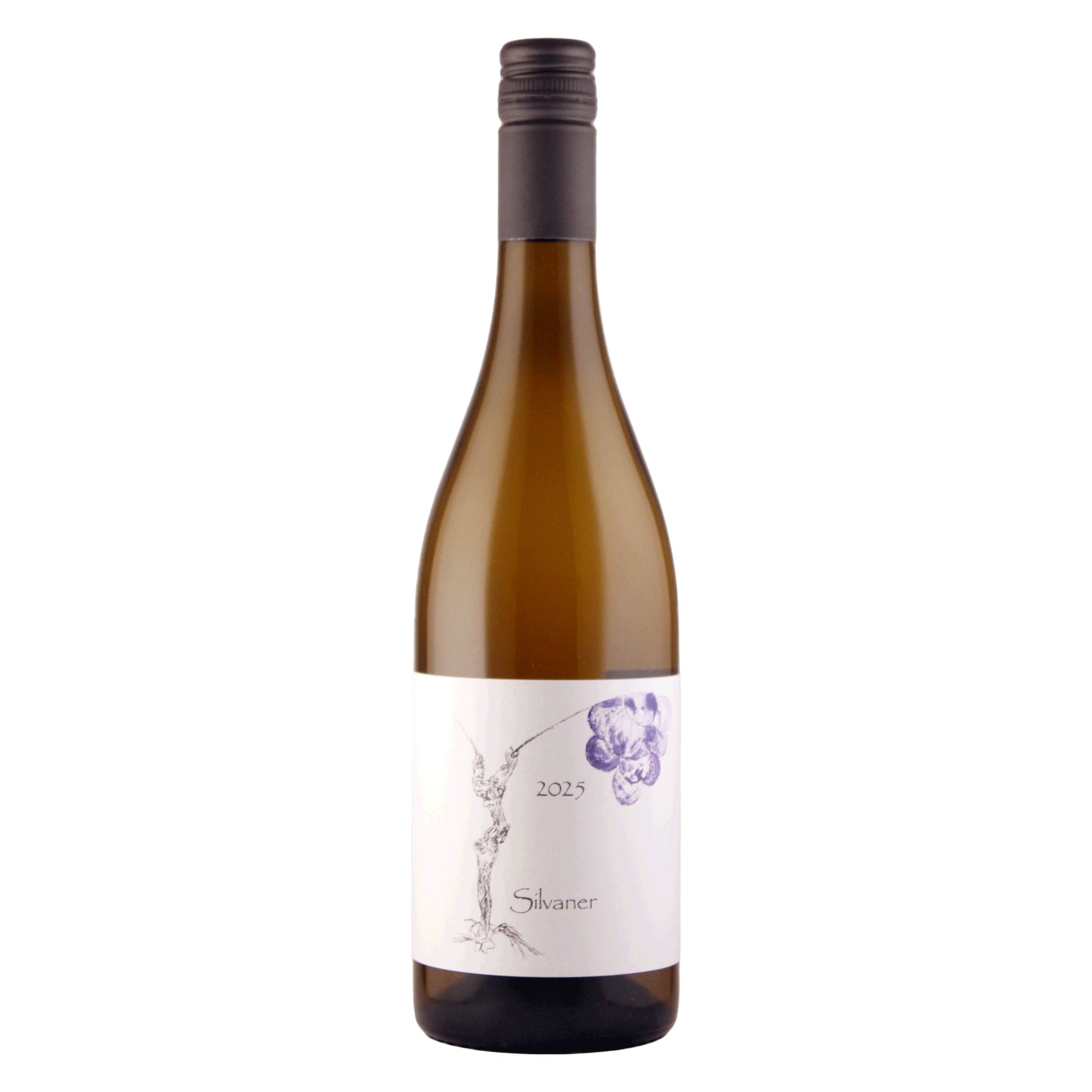 Silvaner 2025 trocken