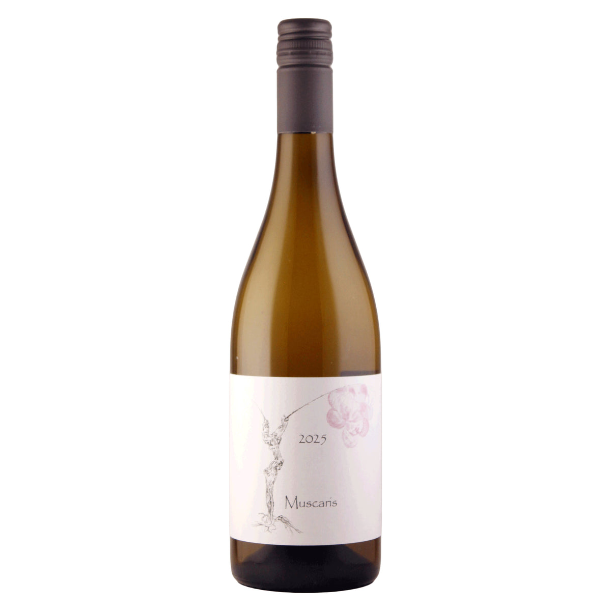 Muscaris 2025 Süßwein