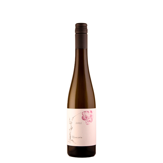 Muscaris 2022 Süßwein