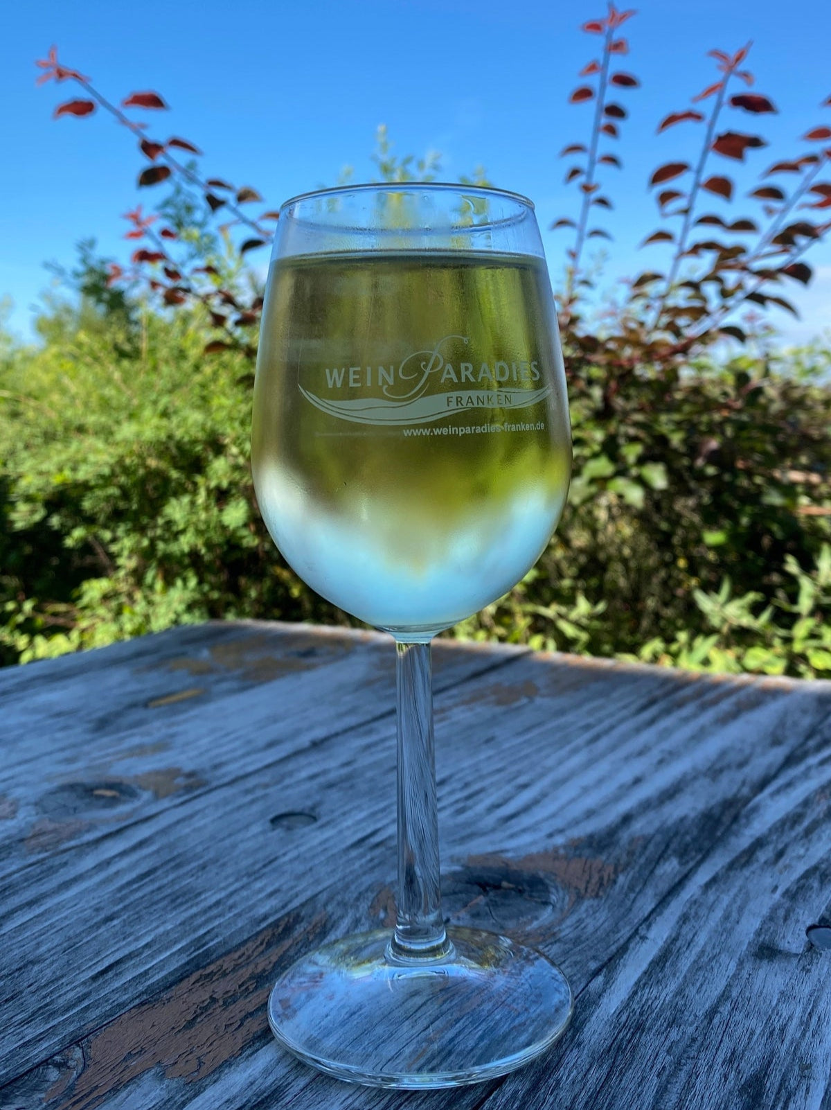 Weinprobe Neumeister Weinparadies Weinglas